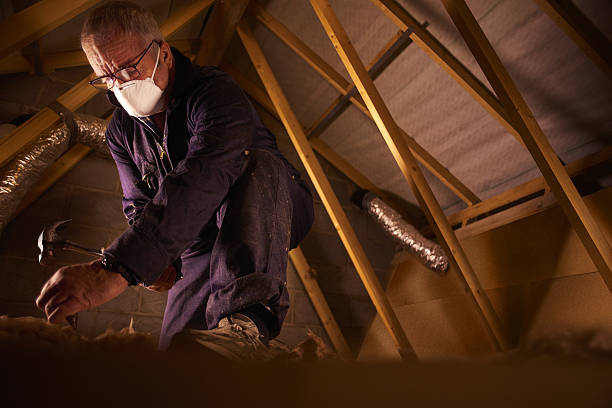Best Insulation for Specific Applications in Cosmopolis, WA